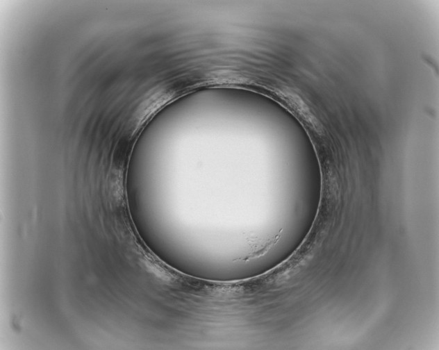 X0000093390889200710251238