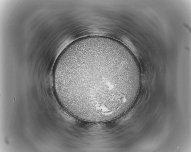 X0000093390891200710251238