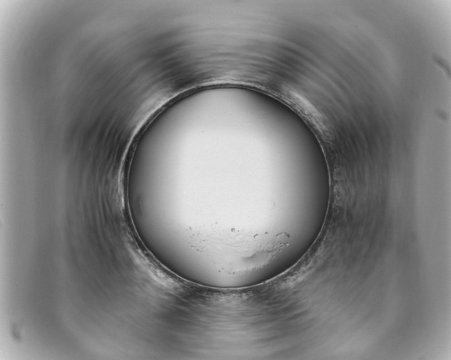 X0000093390892200710251238