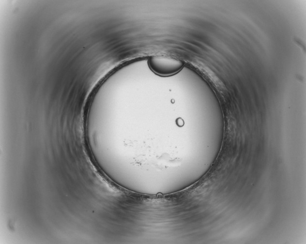 X0000093390894200710251238