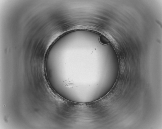 X0000093390896200710251238