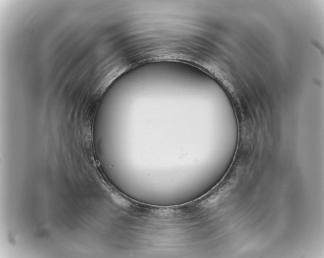 X0000093390897200710251238