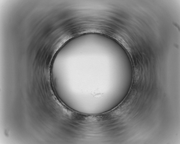 X0000093390898200710251238