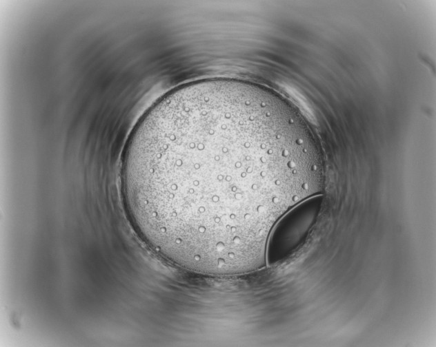 X0000093390899200710251238