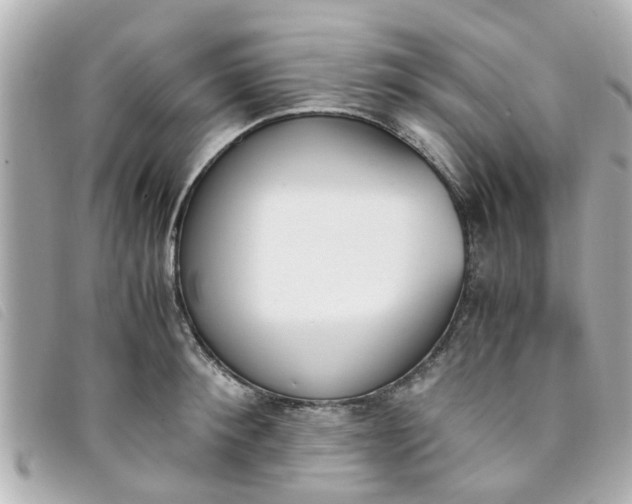 X0000093390900200710251238