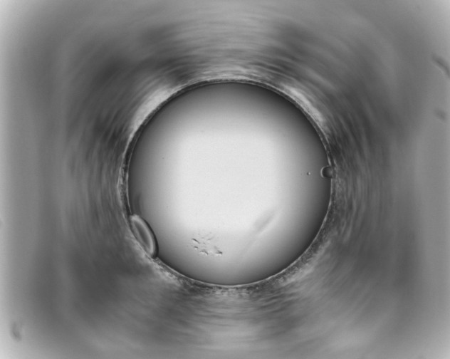 X0000093390901200710251238