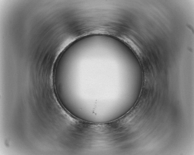 X0000093390902200710251238