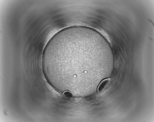 X0000093390903200710251238