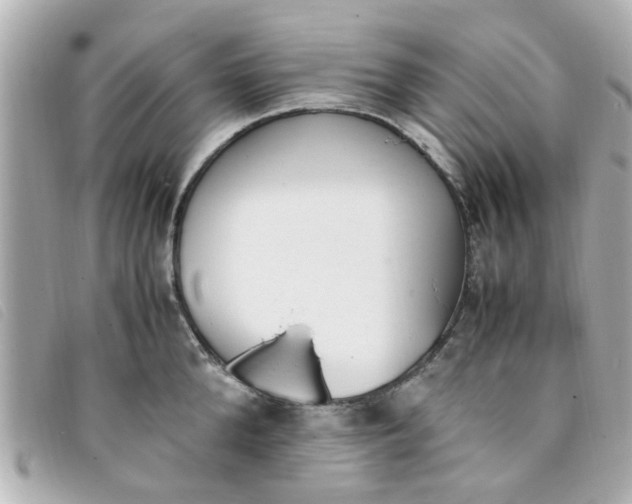 X0000093390904200710251238