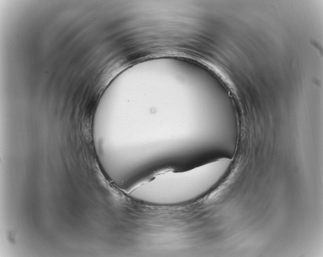 X0000093390905200710251238