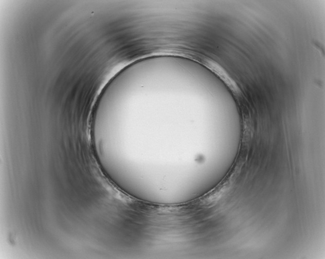 X0000093390908200710251238