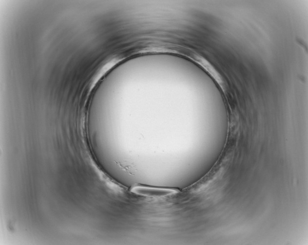 X0000093390909200710251238