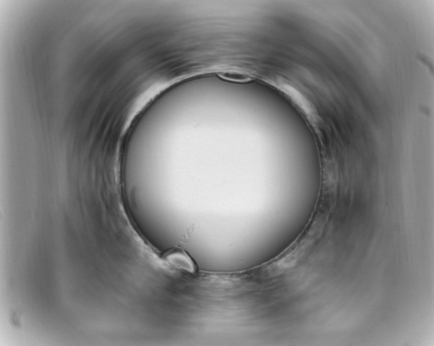 X0000093390910200710251238