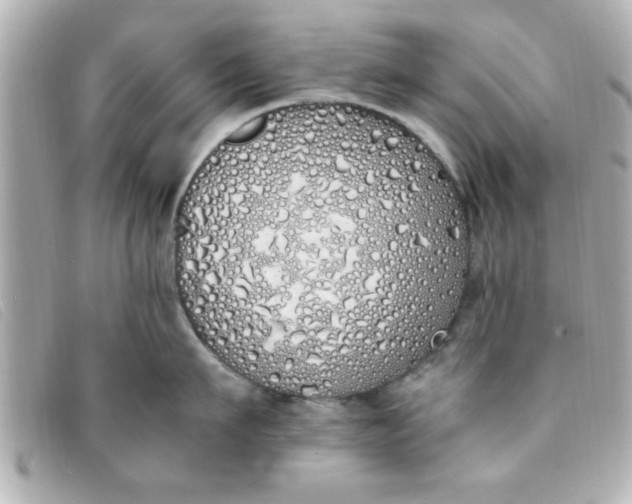 X0000093390911200710251238