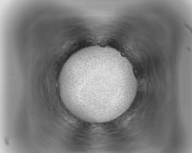 X0000093390913200710251237