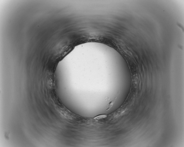 X0000093390916200710251237