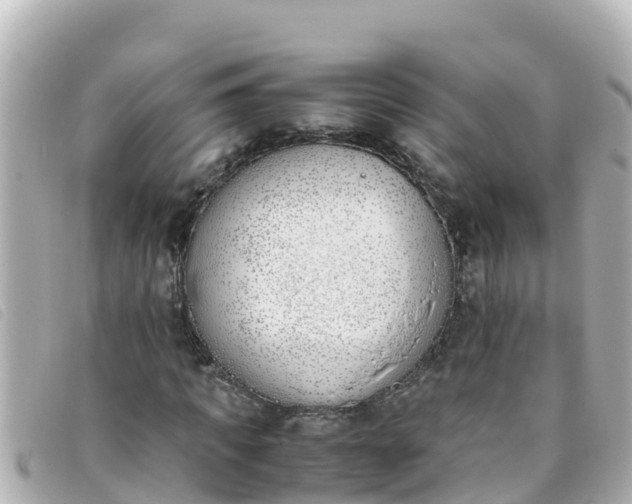 X0000093390917200710251237