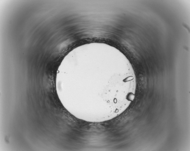 X0000093390918200710251237