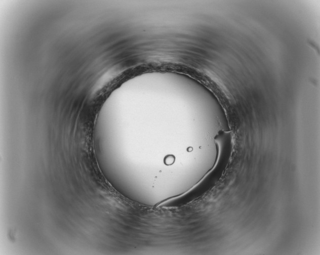 X0000093390919200710251237