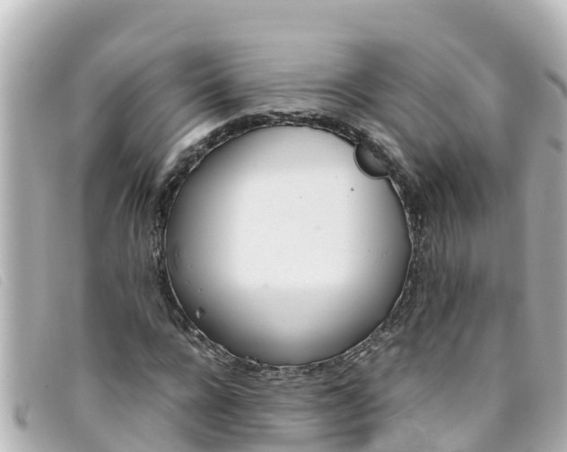 X0000093390920200710251237