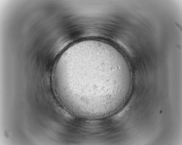 X0000093390921200710251237