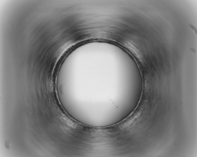 X0000093390924200710251237