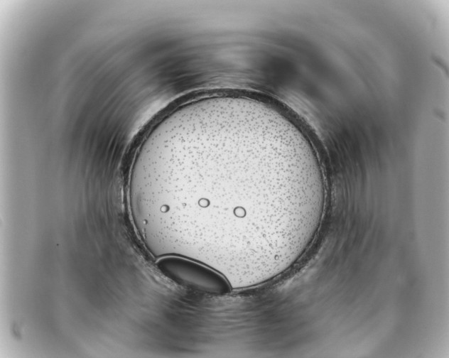 X0000093390925200710251237