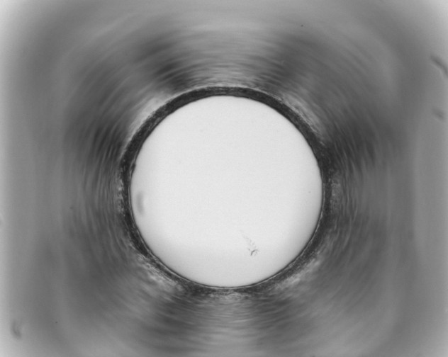 X0000093390926200710251237