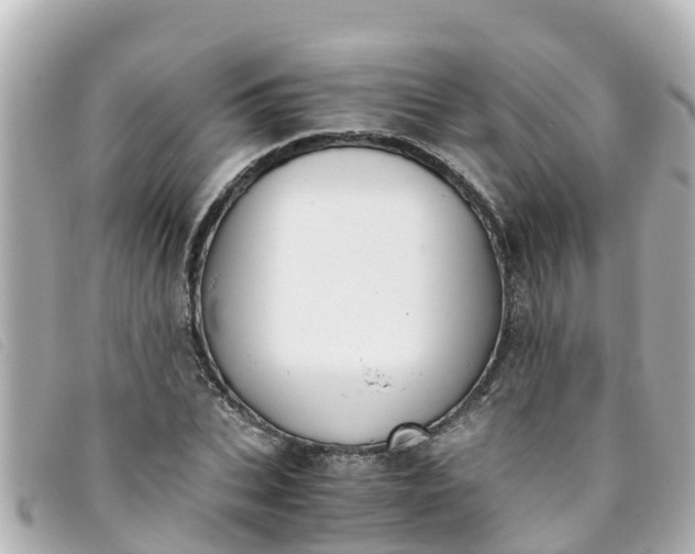 X0000093390927200710251237