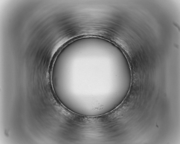 X0000093390928200710251237