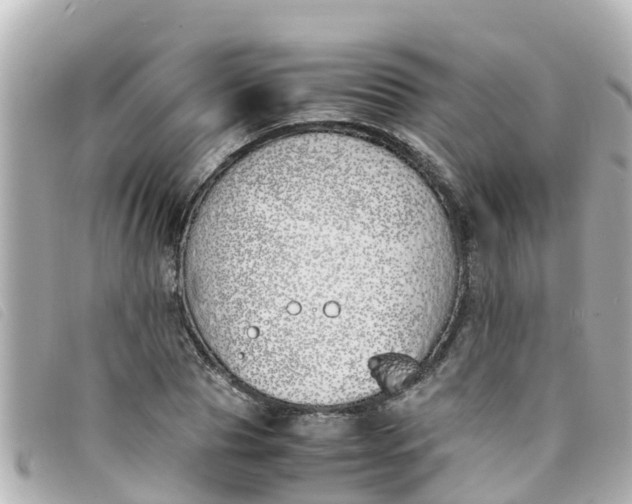 X0000093390929200710251237