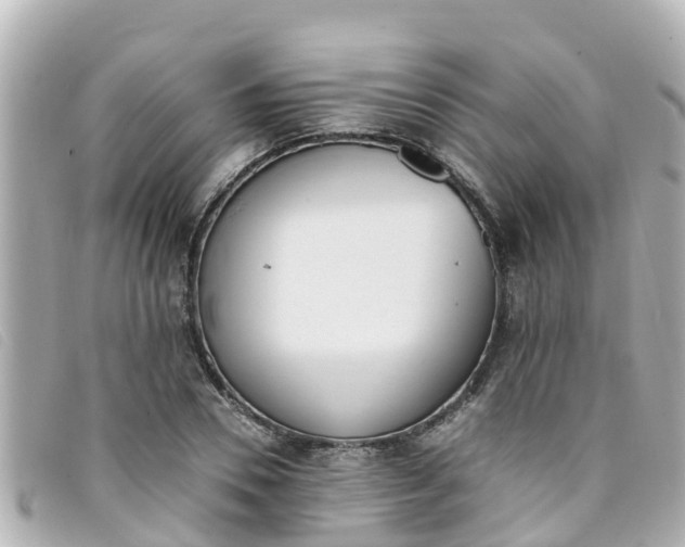 X0000093390930200710251237