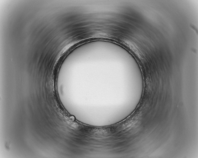 X0000093390931200710251237