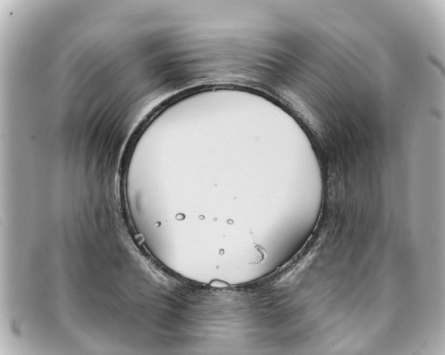 X0000093390932200710251237