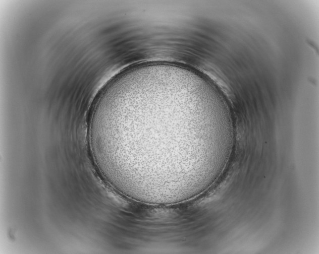 X0000093390933200710251237