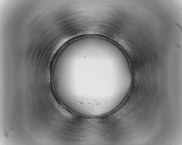 X0000093390934200710251237