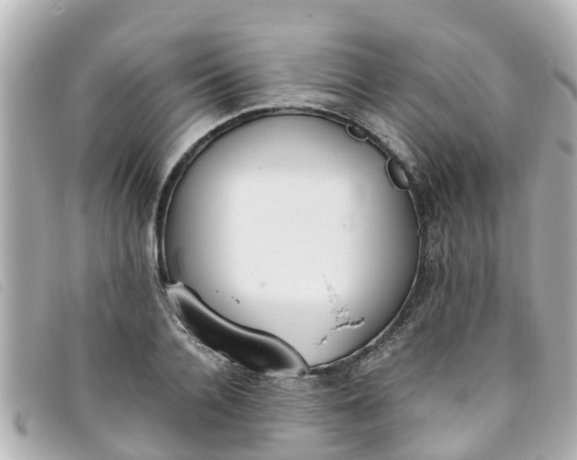 X0000093390936200710251237