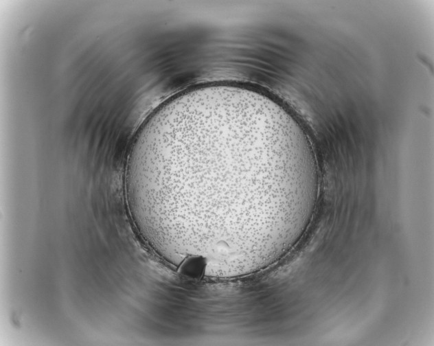 X0000093390937200710251237