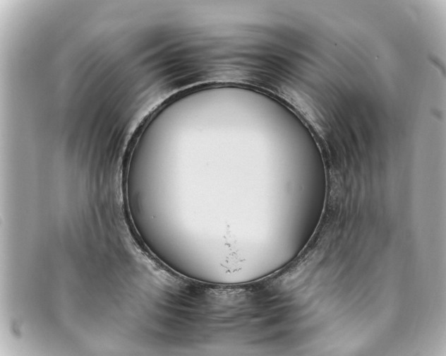 X0000093390939200710251237