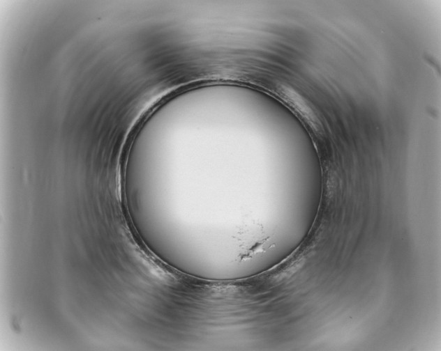 X0000093390940200710251237