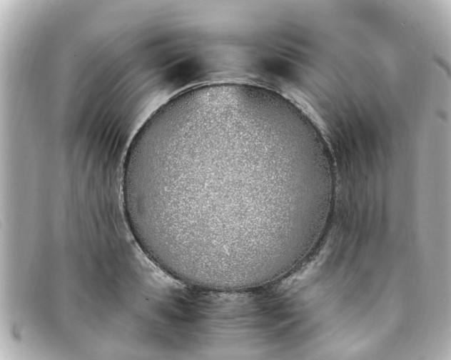 X0000093390941200710251237