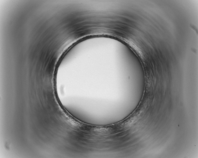 X0000093390943200710251237