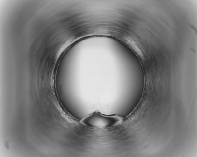 X0000093390944200710251237