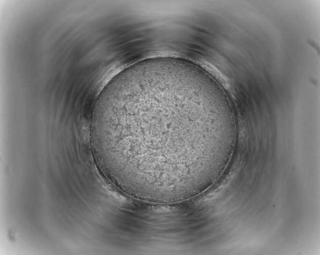 X0000093390945200710251237