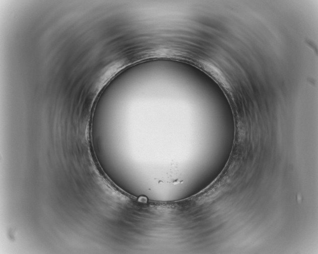 X0000093390946200710251237