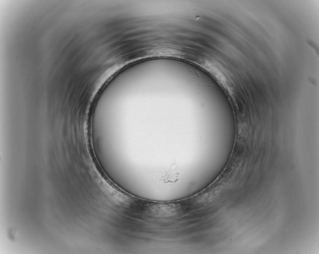 X0000093390947200710251237