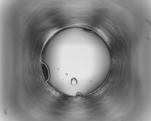 X0000093390948200710251237