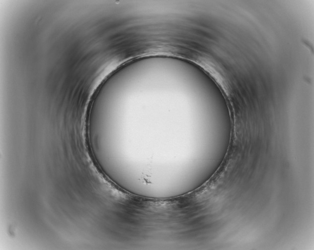 X0000093390949200710251237