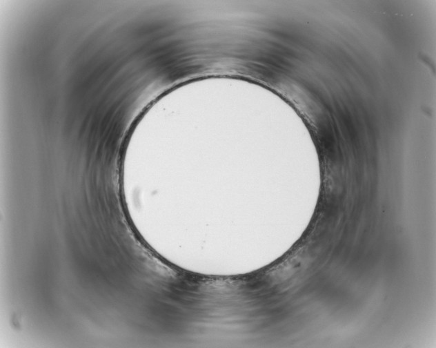 X0000093390950200710251237