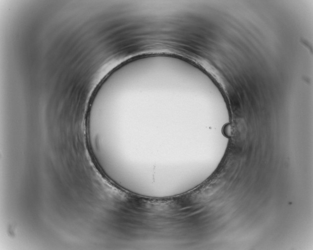 X0000093390951200710251237